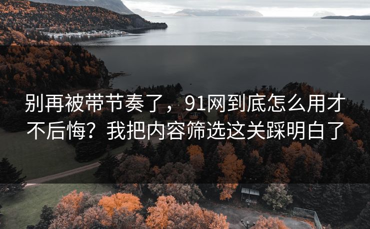 别再被带节奏了，91网到底怎么用才不后悔？我把内容筛选这关踩明白了